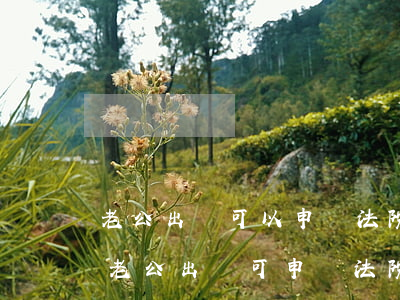 老公出軌可以申請法院調(diào)查嗎(老公出軌可申請法院調(diào)查收集證據(jù)嗎)