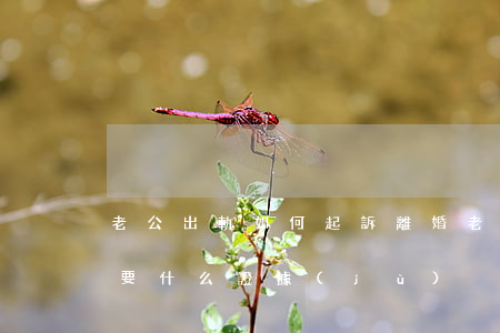 老公出軌如何起訴離婚(老公出軌起訴離婚需要什么證據(jù))