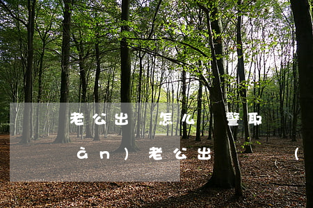 老公出軌怎么報警取證(發(fā)現(xiàn)老公出軌證據(jù)怎么辦)