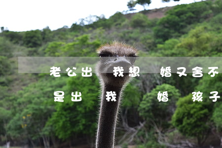 老公出軌我想離婚又舍不得孩子(如果老公總是出軌,我該離婚嗎,孩子怎么辦)