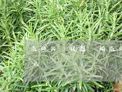 老公出軌我想離婚(老公出軌我想離婚孩子怎么辦)