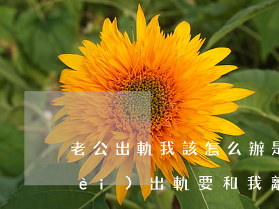 老公出軌我該怎么辦是離婚還(老婆婚內(nèi)出軌要和我離婚我該怎么辦)