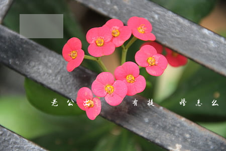 老公出軌沒有提離婚怎么辦
