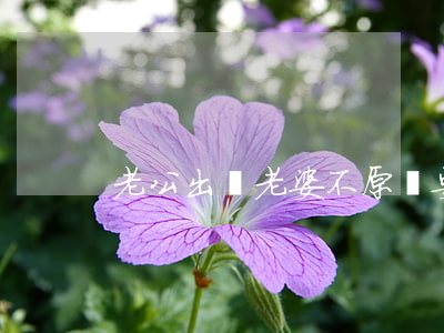 老公出軌老婆不原諒要離婚怎么辦