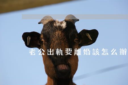 老公出軌要離婚該怎么辦