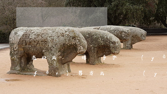 老公出軌賭博給多少撫養(yǎng)費(fèi)(男方出軌撫養(yǎng)費(fèi)怎么算)