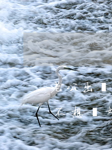 老公出軌還不同意離婚怎么辦(老公出軌了我不想離婚怎么辦)