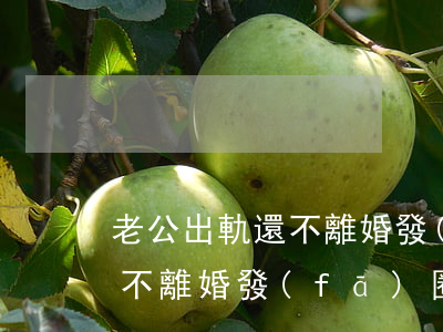 老公出軌還不離婚發(fā)圈(老公出軌還不離婚發(fā)圈)