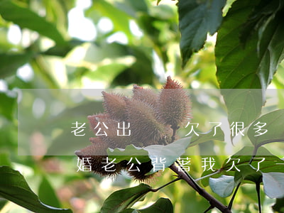 老公出軌還欠了很多網(wǎng)貸想離婚(老公背著我欠了一屁股網(wǎng)貸,我該離婚嗎)