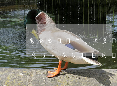 老公出軌還欠了很多網貸想離婚(老公背著我欠了一屁股網貸,我該離婚嗎)