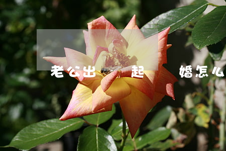 老公出軌還起訴離婚怎么辦