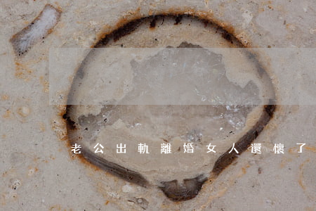老公出軌離婚女人還懷了孕怎么辦