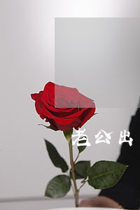 老公出軌離婚起訴書怎么寫(出軌離婚起訴狀)