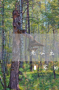 老公出軌離婚還糾纏前妻(老公和前妻離婚不離家的糾纏)