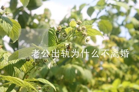 老公出轨为什么不离婚