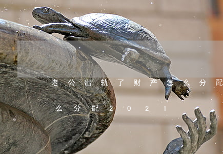 老公出轨了财产怎么分配(老公出轨了财产怎么分配2021)