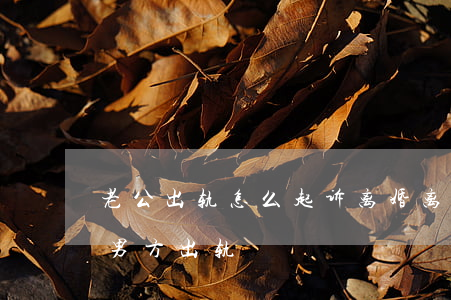 老公出轨怎么起诉离婚(离婚该怎么起诉离婚男方出轨)