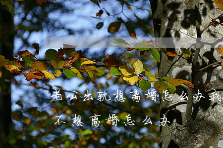 老公出轨想离婚怎么办(我出轨老公要离婚我不想离婚怎么办)