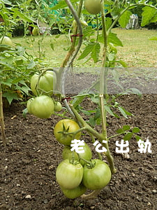 老公出轨有孩子不想离婚怎么办