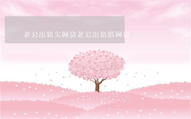老公出轨欠网贷(老公出轨借网贷)