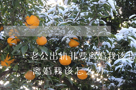 老公出轨非要离婚我该怎么办(老公出轨非要离婚我该怎么办)