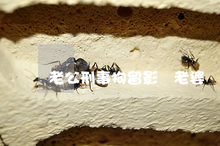 老公刑事拘留影響老婆嗎