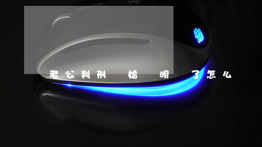老公判刑離婚證明丟了怎么辦