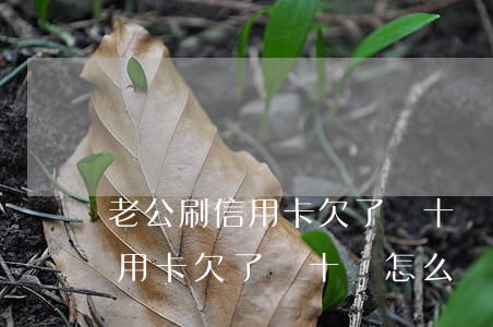 老公刷信用卡欠了幾十萬怎么辦-老公刷信用卡欠了幾十萬怎么辦呢