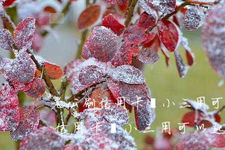 老公刷信用卡給小三用可以起訴嗎-老公刷信用卡給小三用可以起訴嗎怎么辦