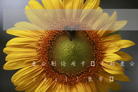 老公刷信用卡還不起(老公欠信用卡還不上會(huì)坐牢嗎)