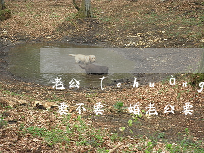 老公創(chuàng)業(yè)不顧家要不要離婚(老公要辭職創(chuàng)業(yè)我該支持他嗎?)