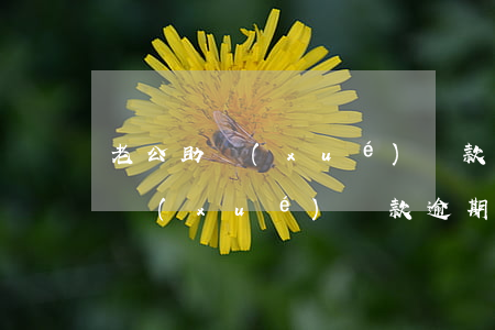 老公助學(xué)貸款逾期25次(老公助學(xué)貸款逾期25次)