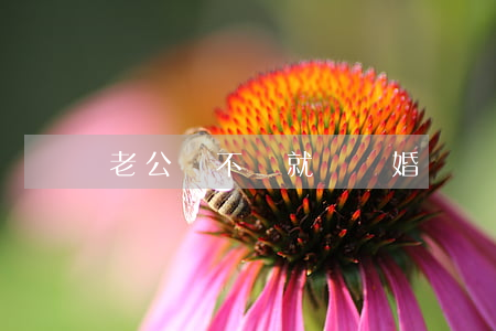 老公動不動就說離婚