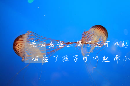 老公去世三年了还可以起诉小三吗(小三和老公生了孩子可以起诉小三吗)