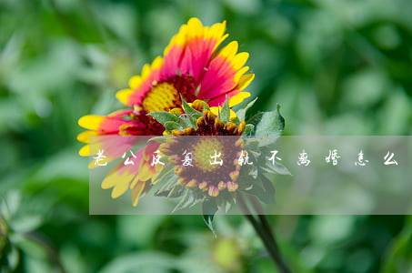 老公反复出轨不离婚怎么办