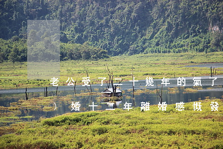 老公受了二十幾年的氣了要離婚(結(jié)婚十二年離婚感慨發(fā)給老公)