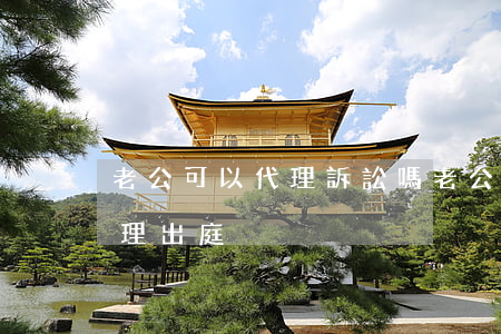 老公可以代理訴訟嗎(老公是被告老婆可以代理出庭)