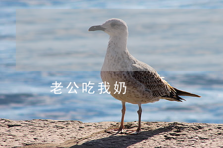 老公吃我奶 老公吃我奶