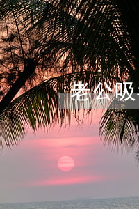 老公吸毒坐牢怎么离婚