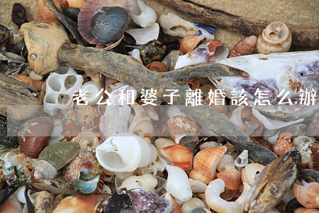老公和婆子離婚該怎么辦
