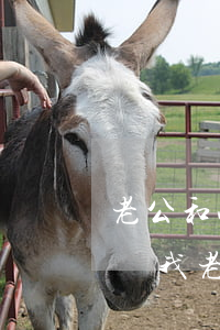 老公和小三一直不斷我該怎么辦(小三一直糾纏我老公怎么辦)