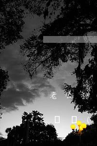 老公和小三偷偷聯(lián)系怎么辦(怎樣聯(lián)系老公的小三)