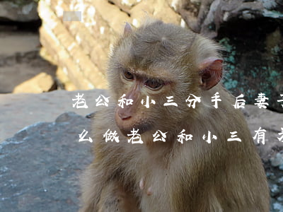 老公和小三分手后妻子應(yīng)該怎么做(老公和小三有矛盾的時(shí)候,妻子該怎么做)