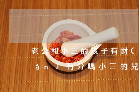 老公和小三的孩子有財(cái)產(chǎn)有分嗎(小三的兒子能分我老公的家產(chǎn)嗎?)