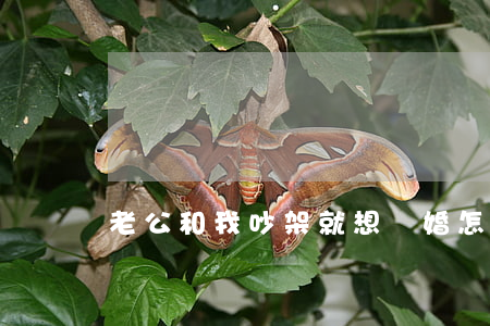 老公和我吵架就想離婚怎么辦