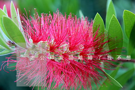 老公和我鬧離婚了我不想離怎么辦