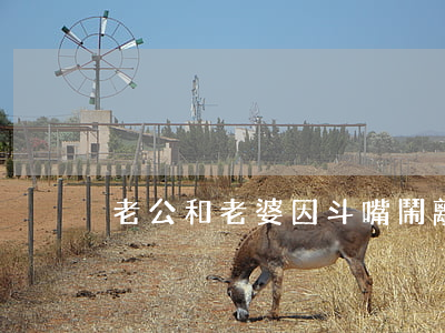 老公和老婆因斗嘴鬧離婚怎么辦