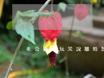 老公喜歡玩笑說離婚怎么辦