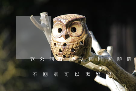 老公四个月没有回家随后提出离婚(老公长期不回家可以离婚吗)