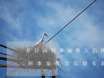 老公因刑事案件欠信用卡老婆還嗎-老公因刑事案件欠信用卡老婆還嗎能離婚嗎